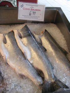 Coho Salmon On Display