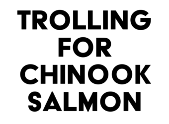 tips for trolling for chinook salmon