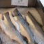 Coho Salmon On Display