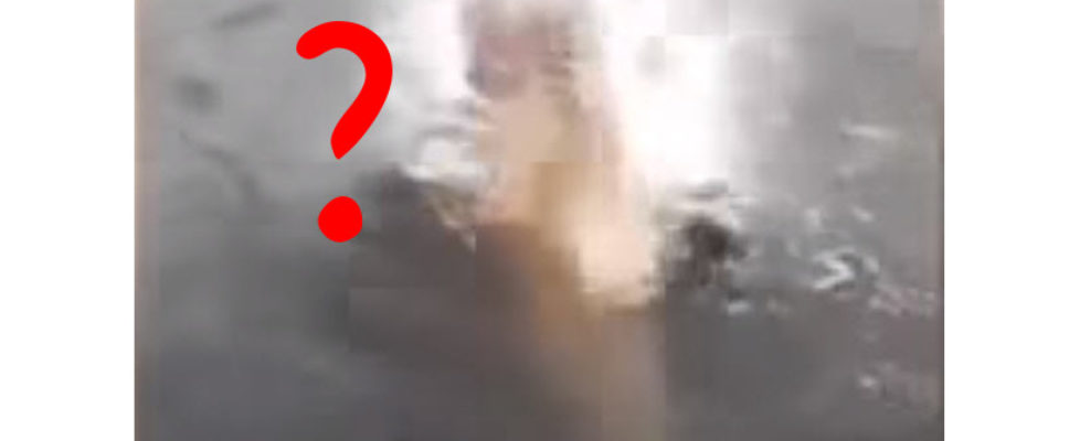 mystery predator
