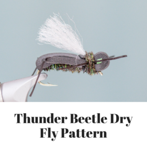 Thunder Beetle dry fly pattern