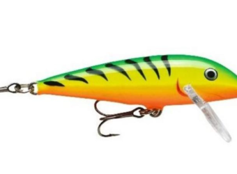 fire tiger rapala for trolling for trout