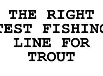 what line weight for trout fishing