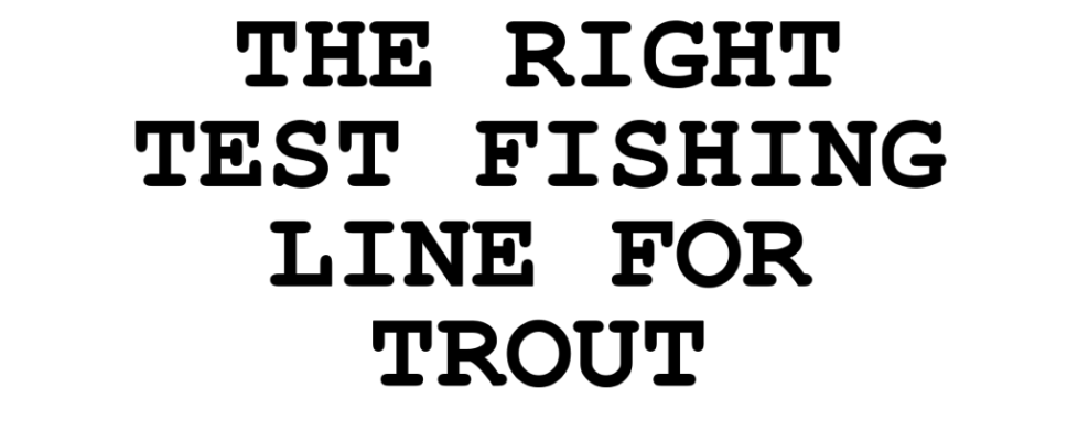 what line weight for trout fishing