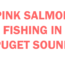 pink salmon fishing in Puget Sound Basics