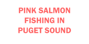 pink salmon fishing in Puget Sound Basics