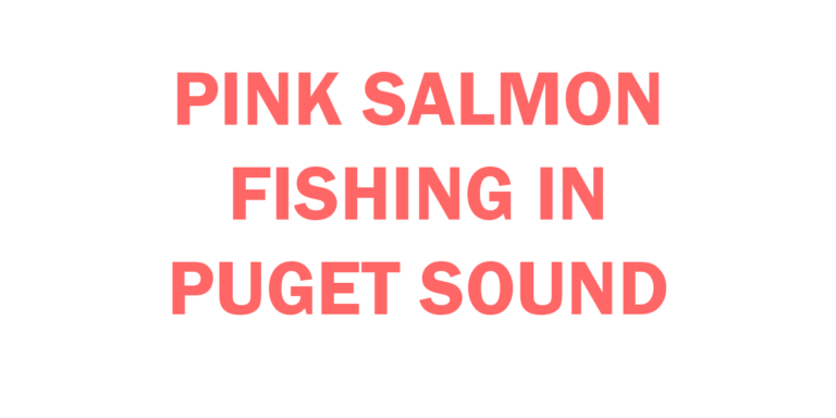 pink salmon fishing in Puget Sound Basics