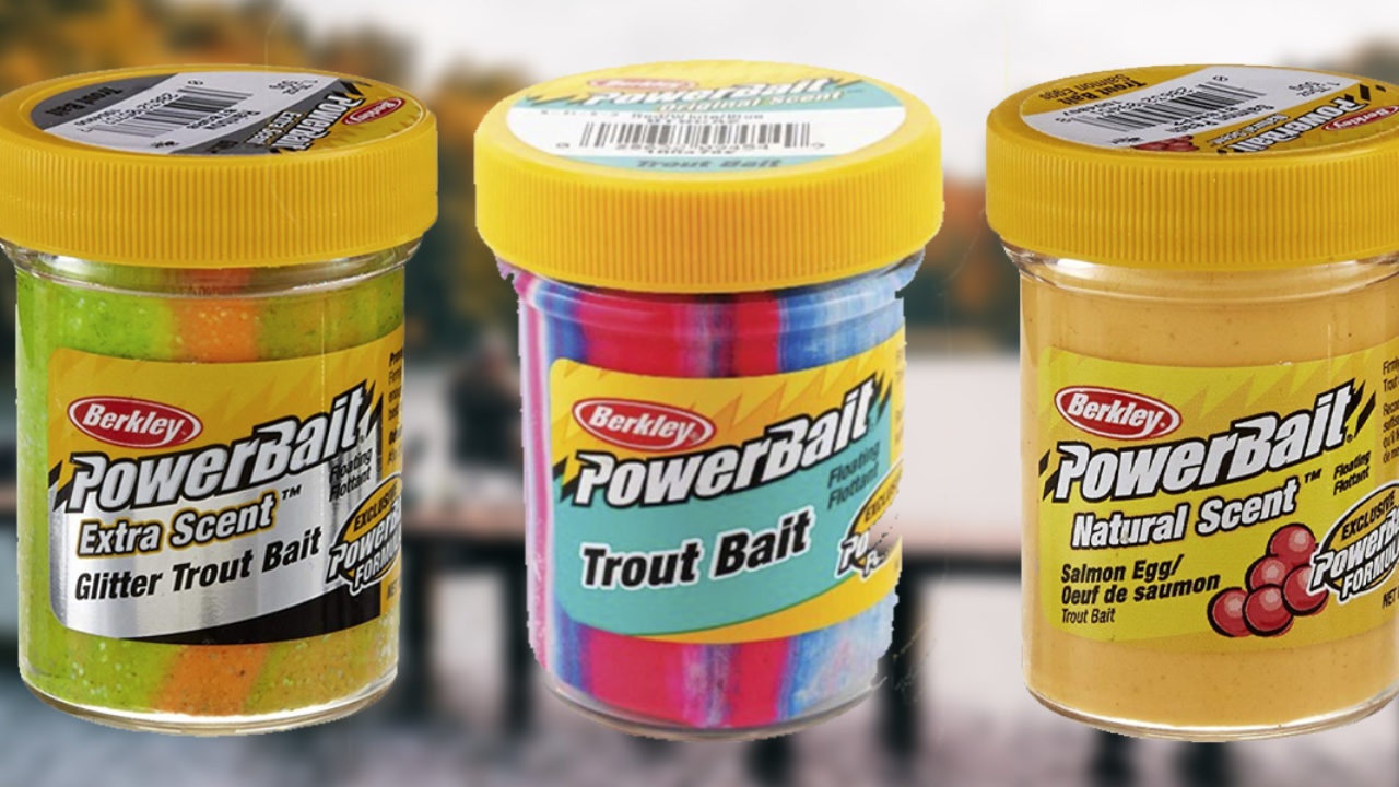 trout fishing with powerbait