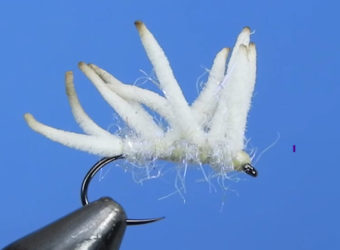 cluster of maggots fly fishing fly