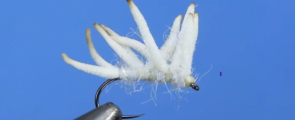 cluster of maggots fly fishing fly