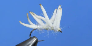 cluster of maggots fly fishing fly