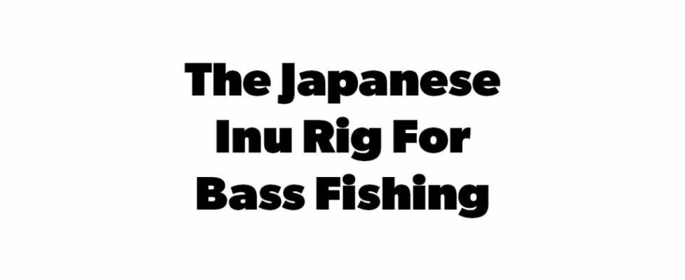 Japanese Inu rig cover