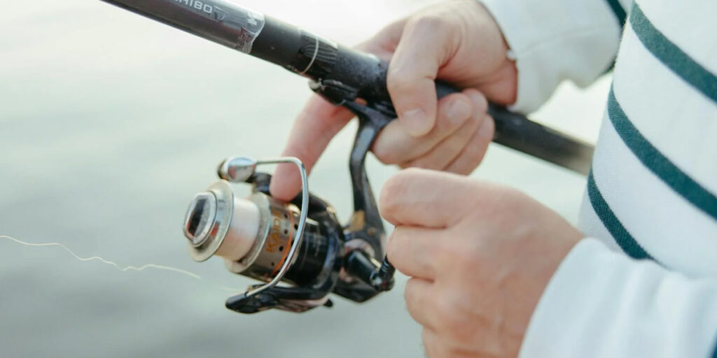 spinning reel