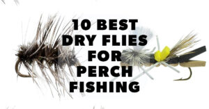 10 best dry flies for perch fishing
