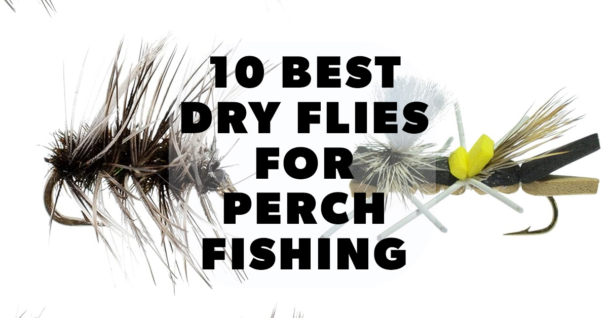 Master Yellow Perch Fly Fishing: Top 10 Dry Flies to Catch More Fish Now!
