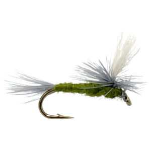 Blue Wing Olive dry flies