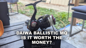 DIAWAS BALISTIC REVIEW