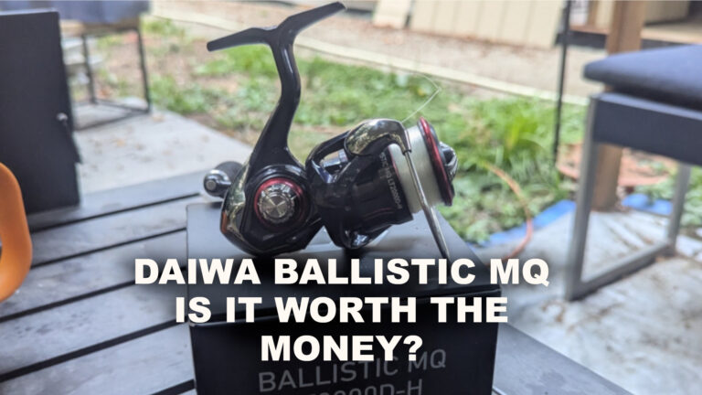 DIAWAS BALISTIC REVIEW