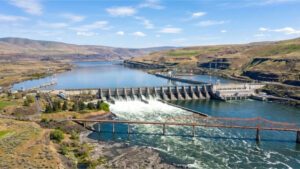 PNW dams and fish