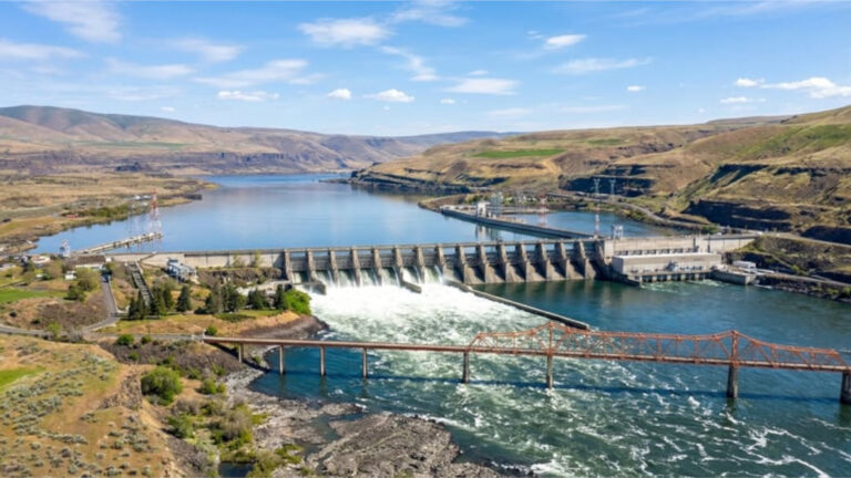 PNW dams and fish